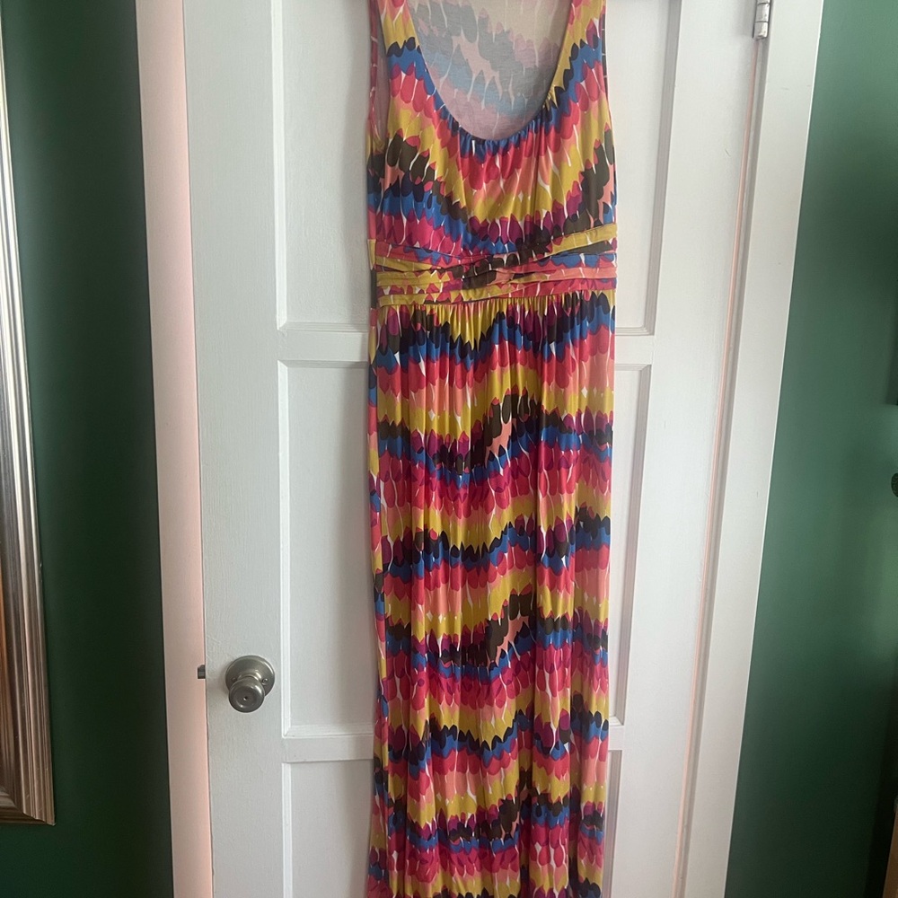Biden Vibrant Multicolor Maxi Dress